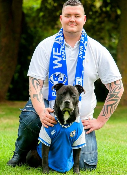 dog,suicide,viral,storie,best dog stories,most shared,brave,dog,pitbull,owner help,amazing