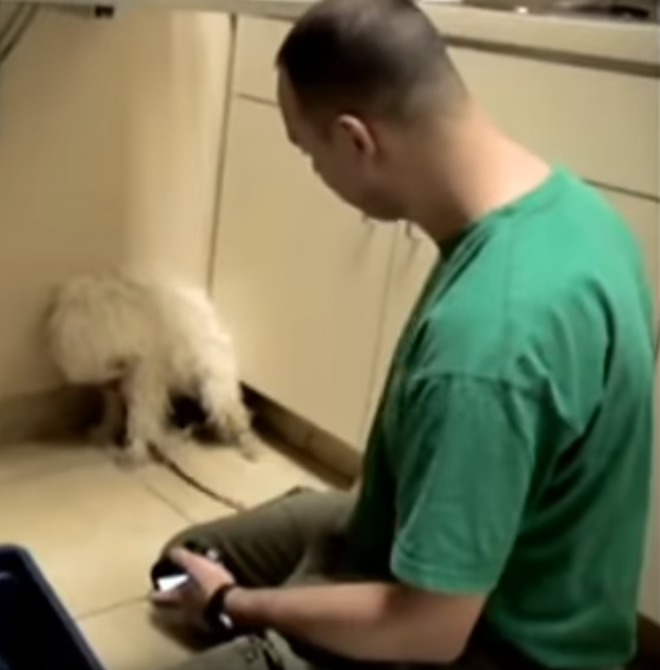 They Were About To Put Down This Dog, Then A Simple Hug Changed Everything 1 60