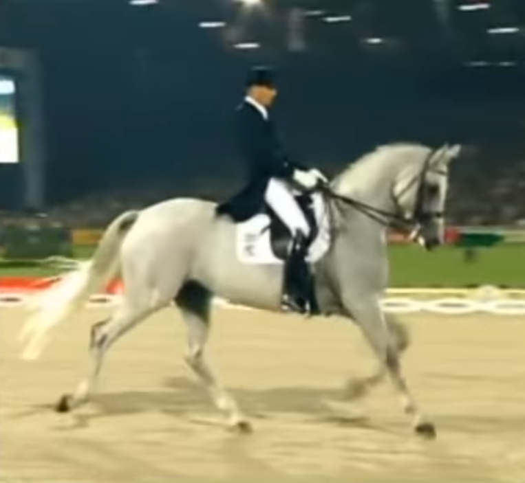 That Horse Is Truly Magnificent. But When He Does THIS, I Can’t Stop Staring At My Screen…WHOA! 1 11