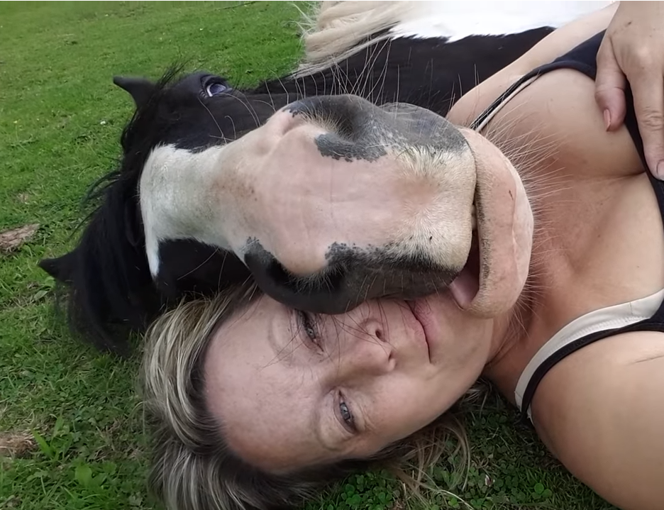 Mom Was Used As A Pillow By Her Cute Horse, However See When He Tries To Gi...